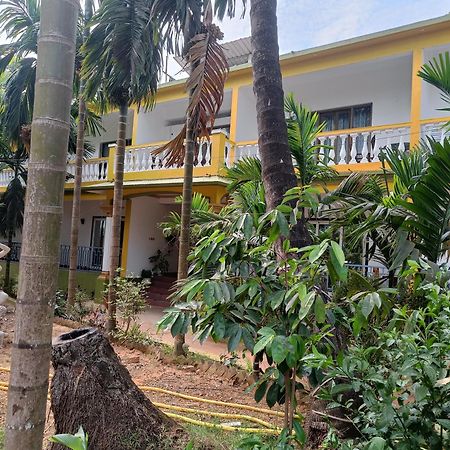 Lavish Exotic Hotel & Apartments 阿姆波尔 外观 照片