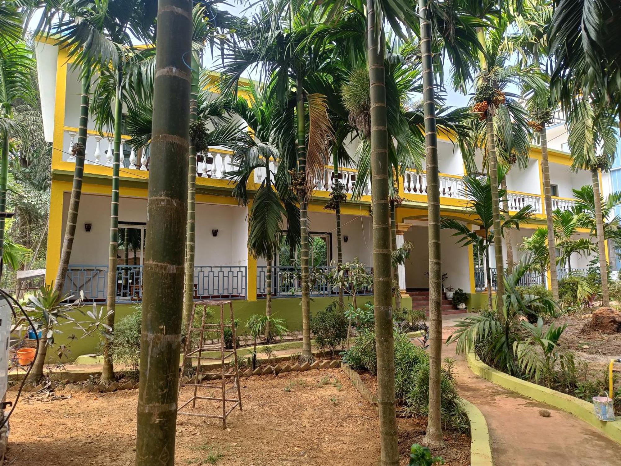 Lavish Exotic Hotel & Apartments 阿姆波尔 外观 照片